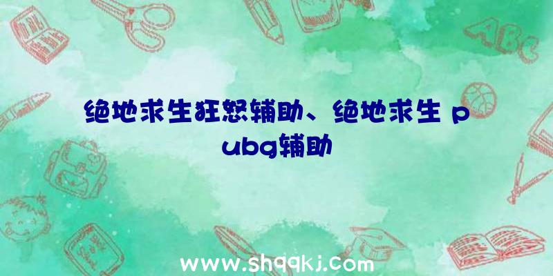 绝地求生狂怒辅助、绝地求生